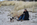 Insel Poel Gitte mit Hund am Strand